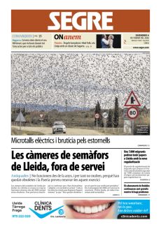 MICROTALLS ELÈCTRICS I BRUTÍCIA PELS ESTORNELLS