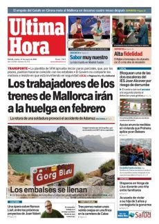 TRES PERROS MATAN UNAS VEINTE OVEJAS EN UNA FINCA EN LA CARRETERA DE CALAS